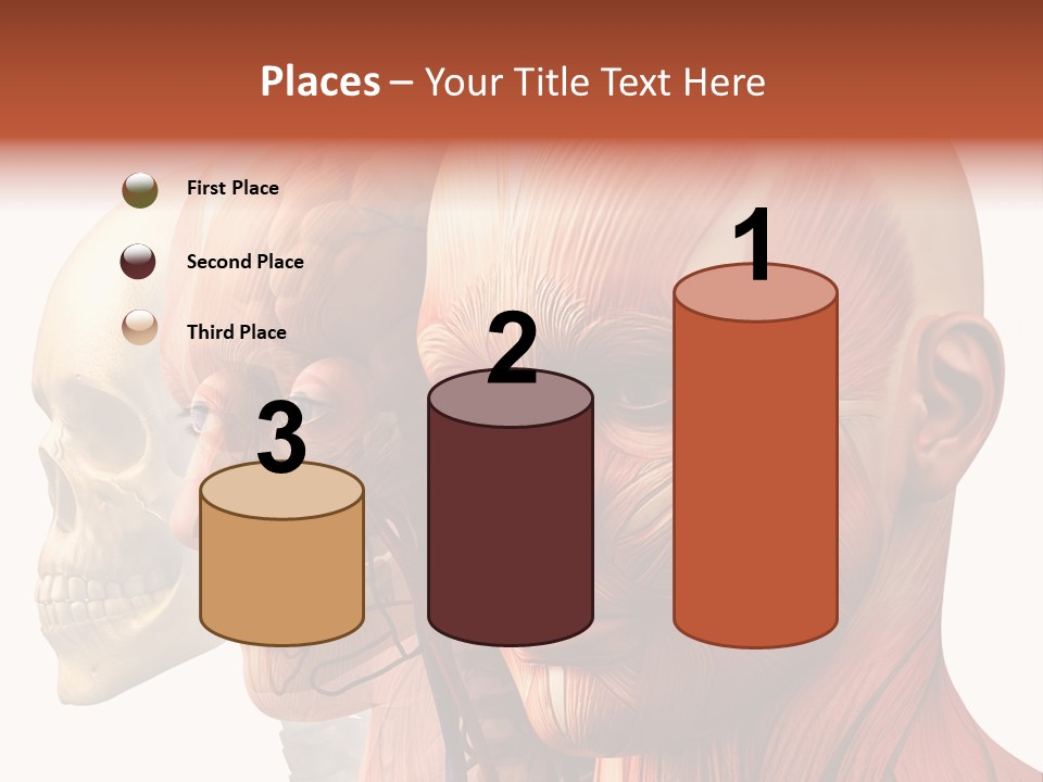 Li Ten Per On Conference PowerPoint Template