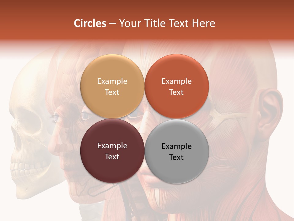 Li Ten Per On Conference PowerPoint Template