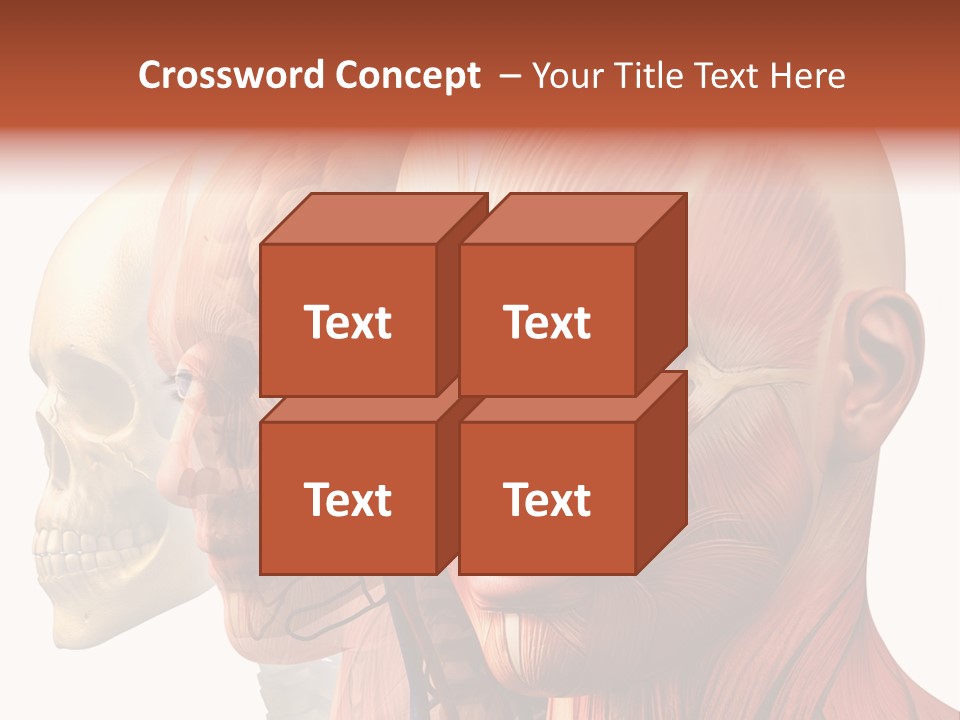 Li Ten Per On Conference PowerPoint Template