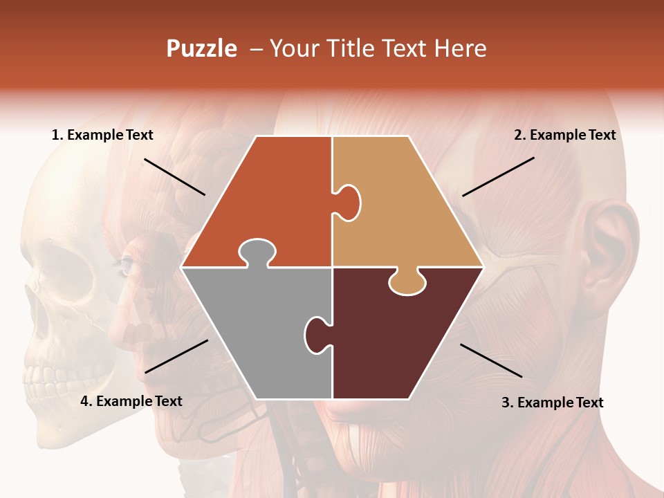 Li Ten Per On Conference PowerPoint Template