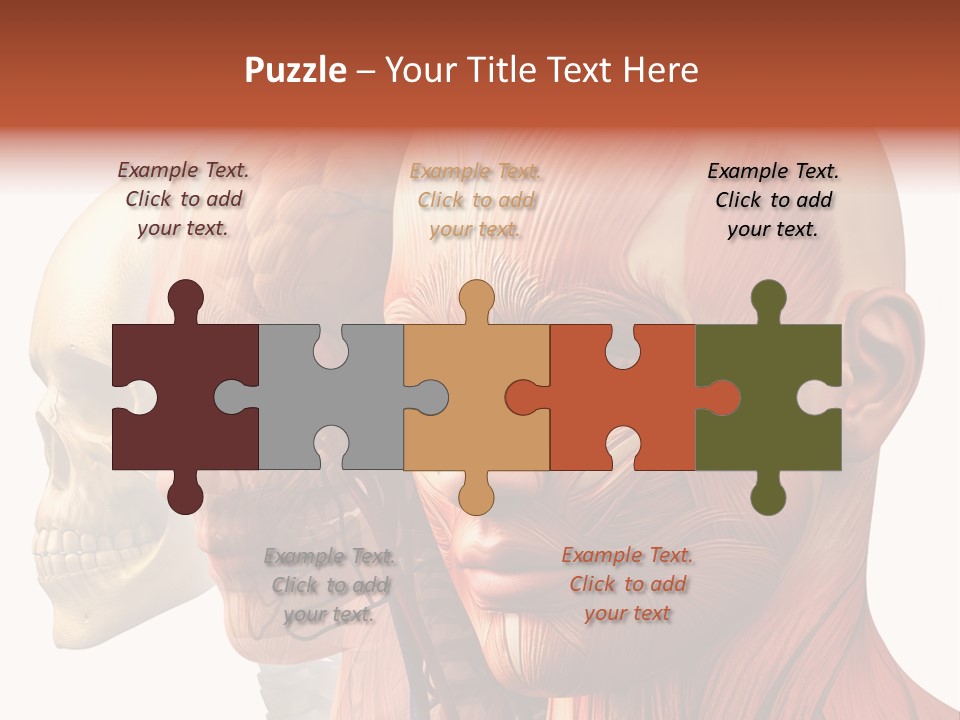 Li Ten Per On Conference PowerPoint Template