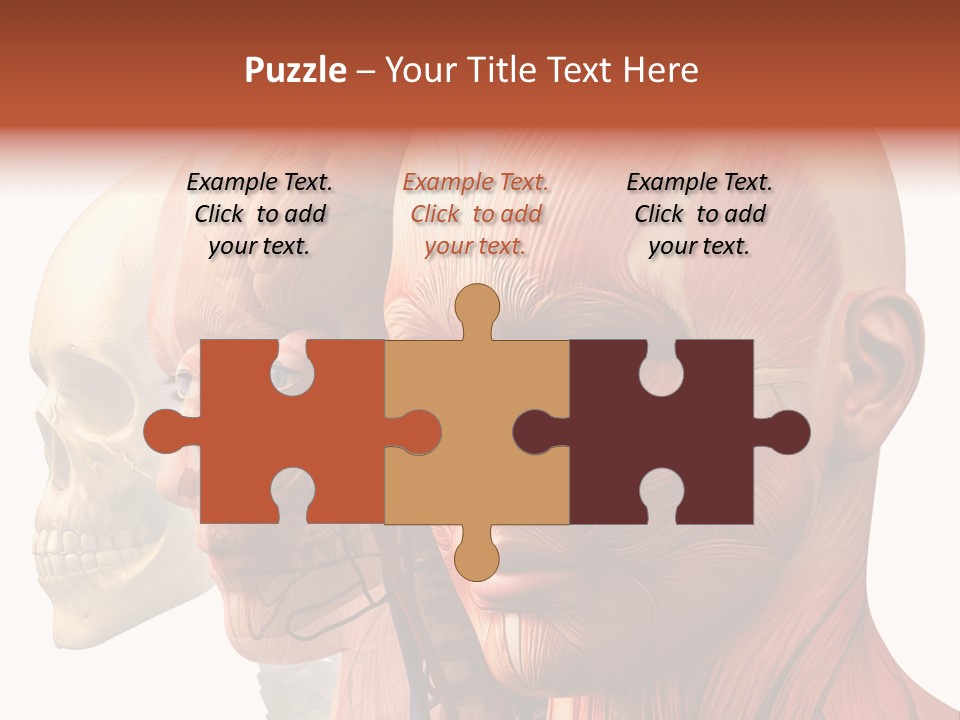 Li Ten Per On Conference PowerPoint Template