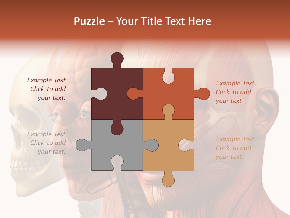 Li Ten Per On Conference PowerPoint Template