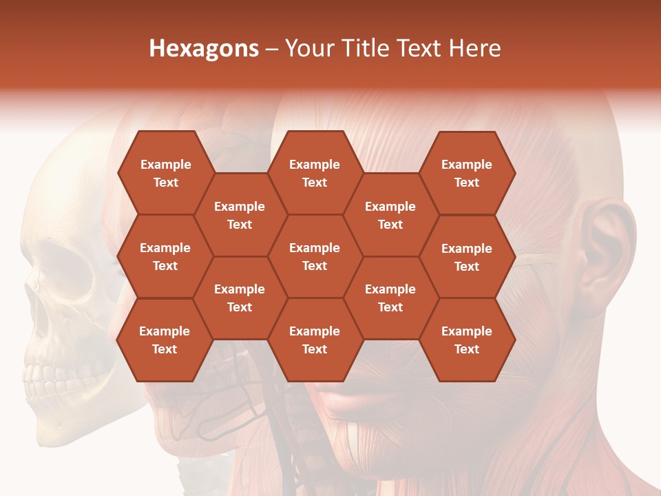 Li Ten Per On Conference PowerPoint Template