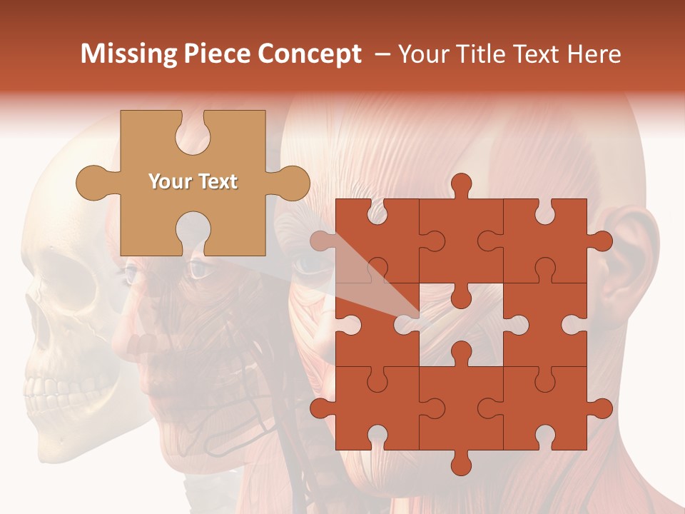 Li Ten Per On Conference PowerPoint Template