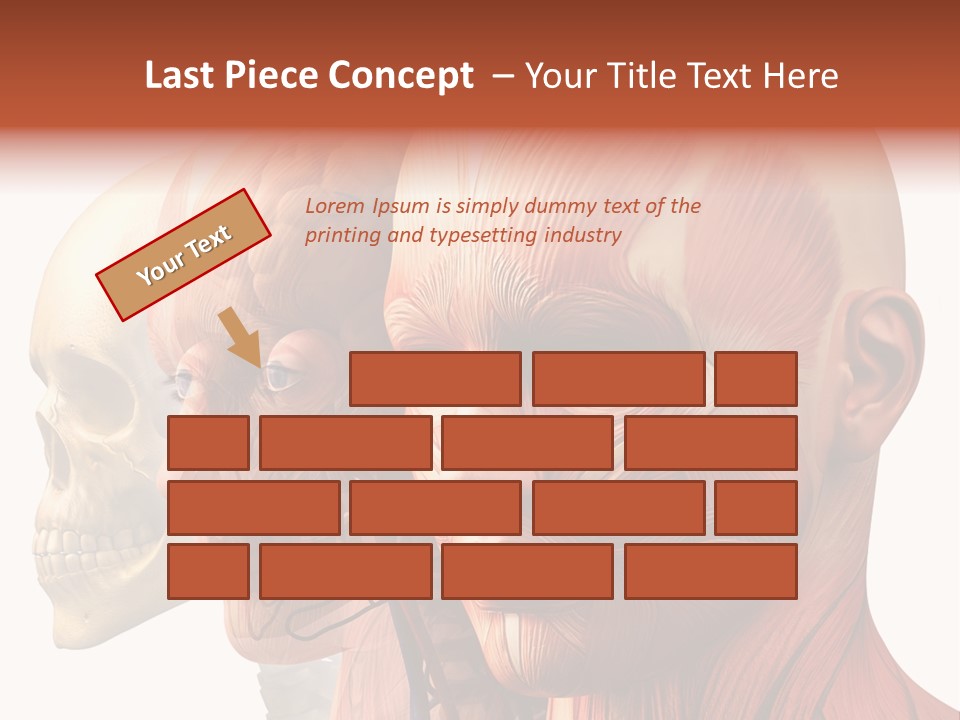 Li Ten Per On Conference PowerPoint Template