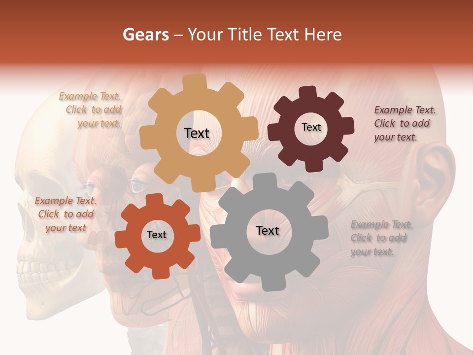 Li Ten Per On Conference PowerPoint Template