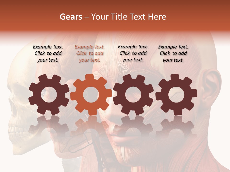 Li Ten Per On Conference PowerPoint Template