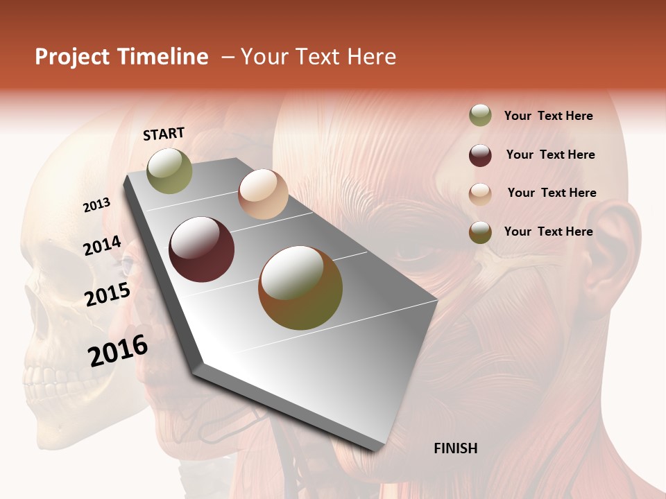 Li Ten Per On Conference PowerPoint Template