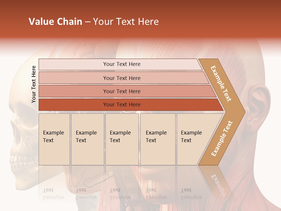 Li Ten Per On Conference PowerPoint Template