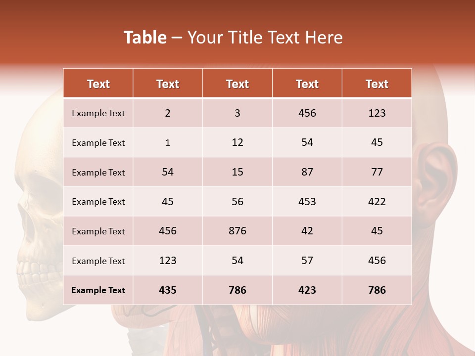 Li Ten Per On Conference PowerPoint Template