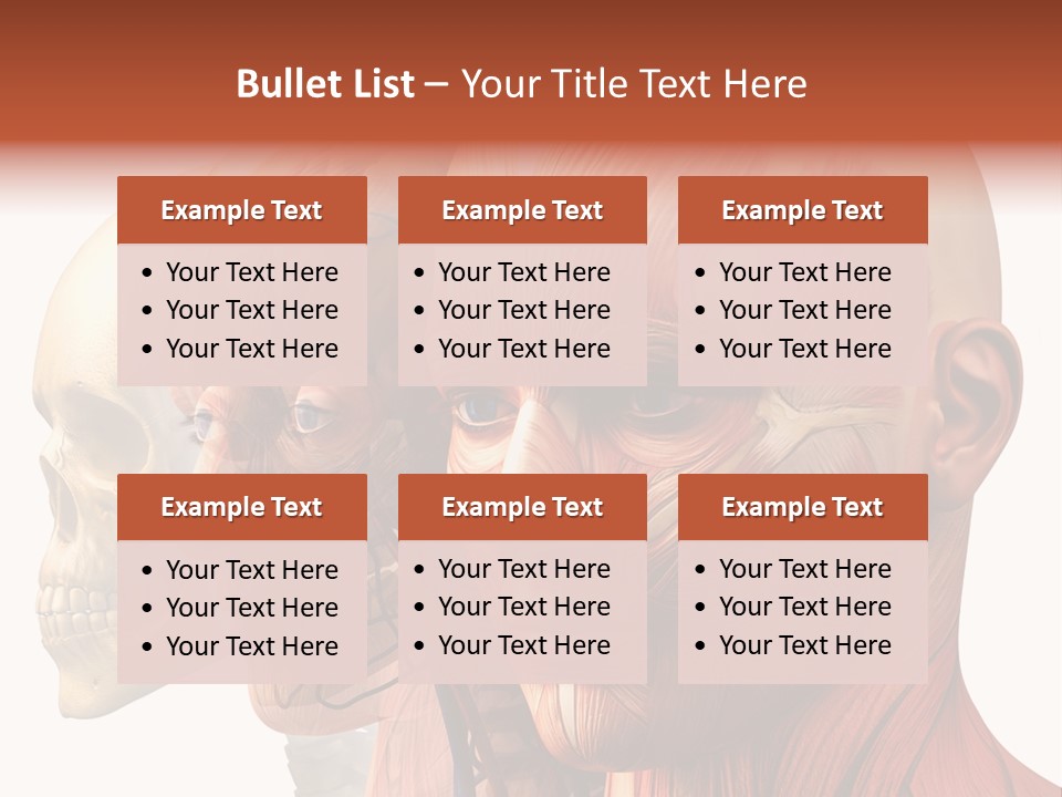 Li Ten Per On Conference PowerPoint Template