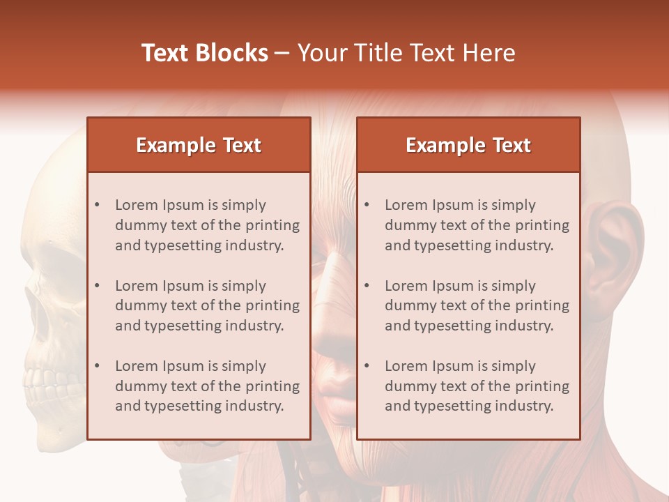 Li Ten Per On Conference PowerPoint Template