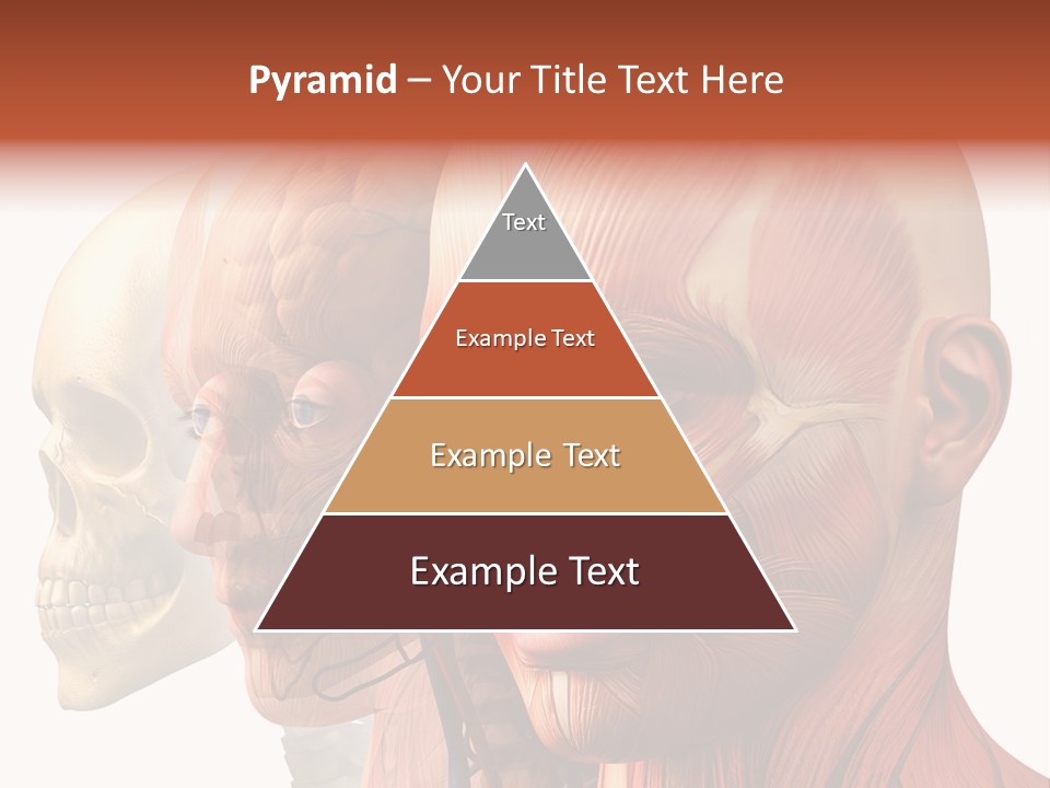 Li Ten Per On Conference PowerPoint Template