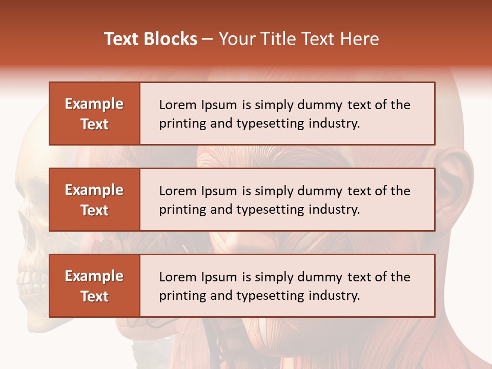 Li Ten Per On Conference PowerPoint Template
