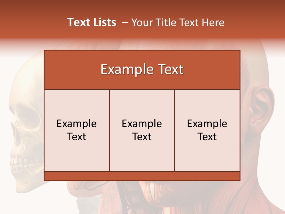 Li Ten Per On Conference PowerPoint Template