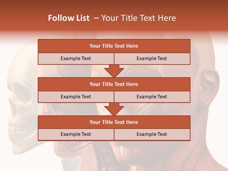 Li Ten Per On Conference PowerPoint Template