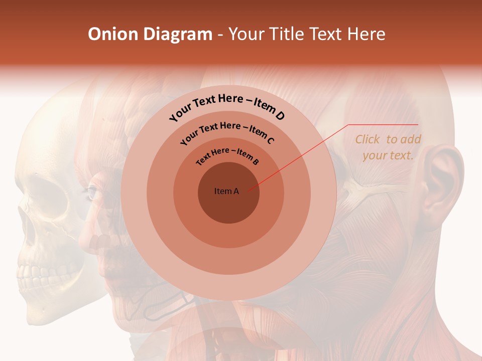 Li Ten Per On Conference PowerPoint Template