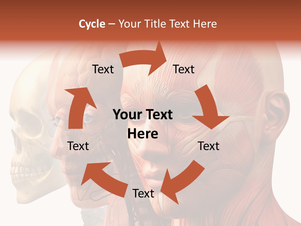 Li Ten Per On Conference PowerPoint Template