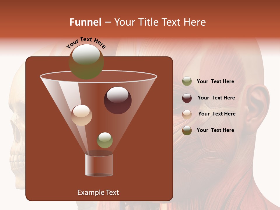 Li Ten Per On Conference PowerPoint Template