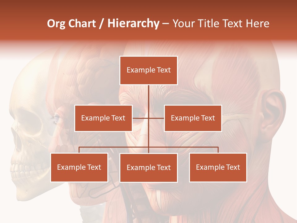 Li Ten Per On Conference PowerPoint Template