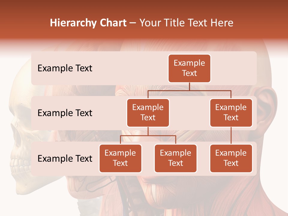Li Ten Per On Conference PowerPoint Template