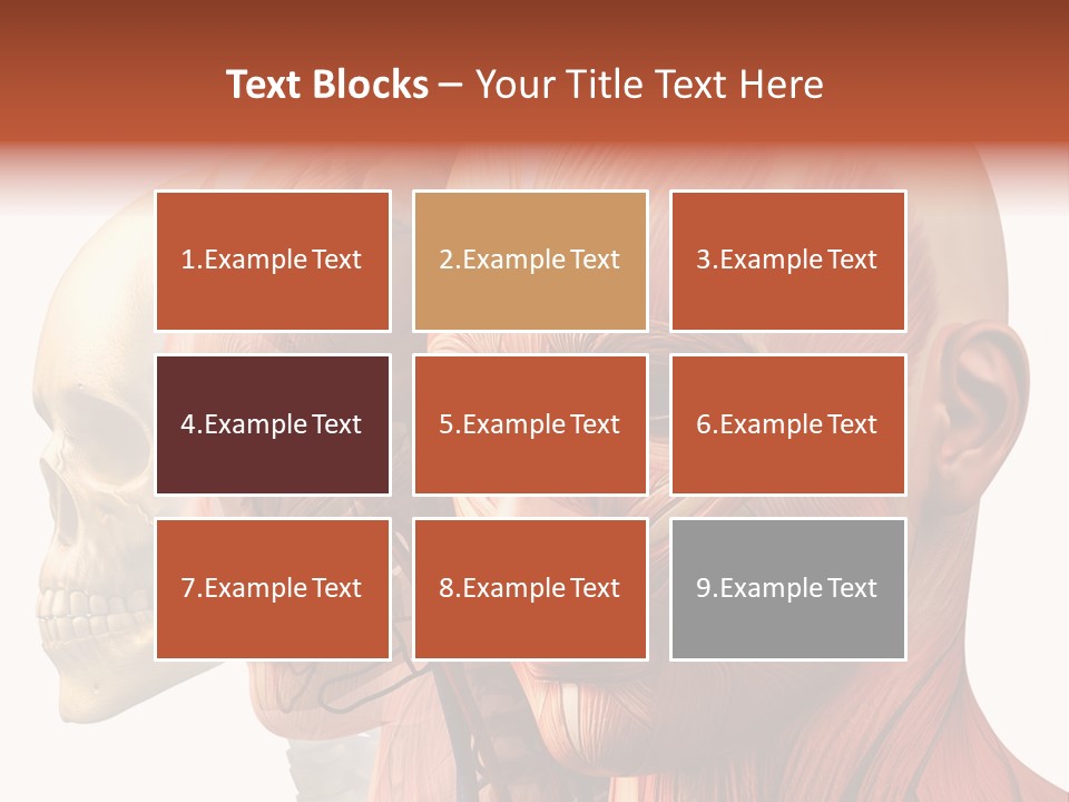 Li Ten Per On Conference PowerPoint Template