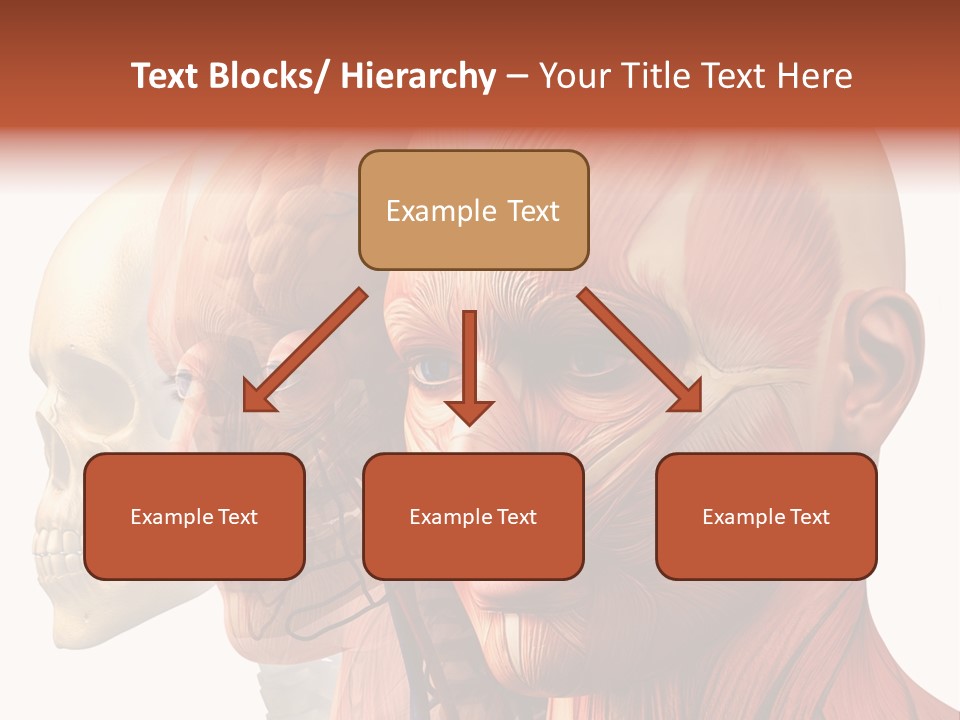 Li Ten Per On Conference PowerPoint Template