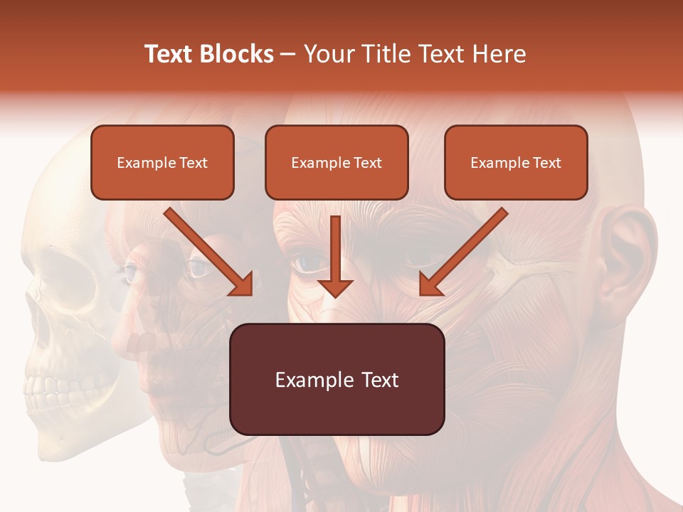Li Ten Per On Conference PowerPoint Template