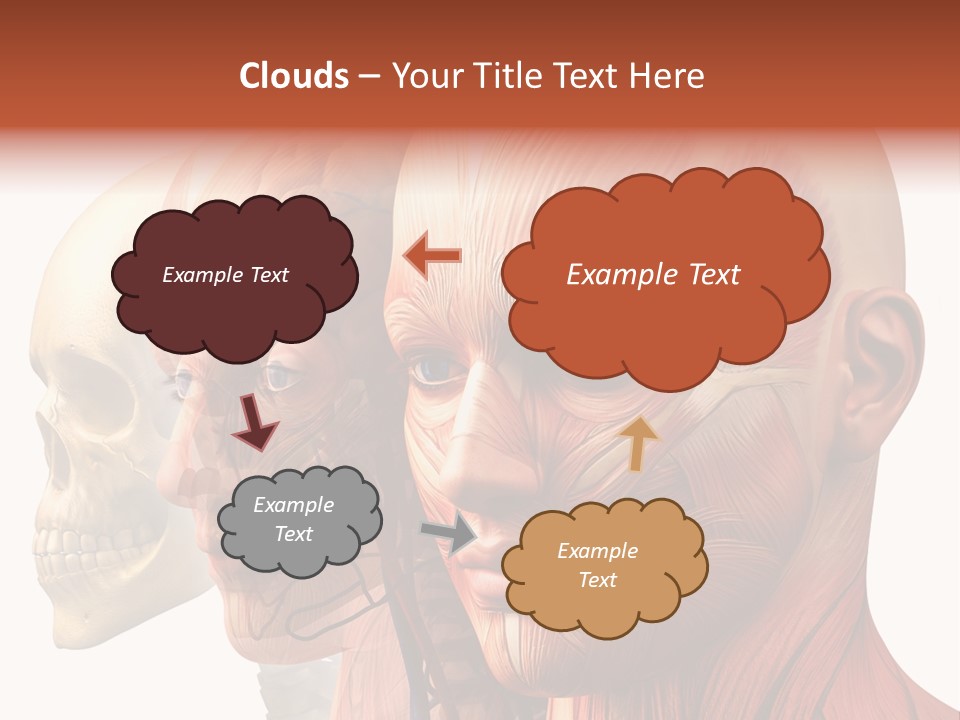 Li Ten Per On Conference PowerPoint Template