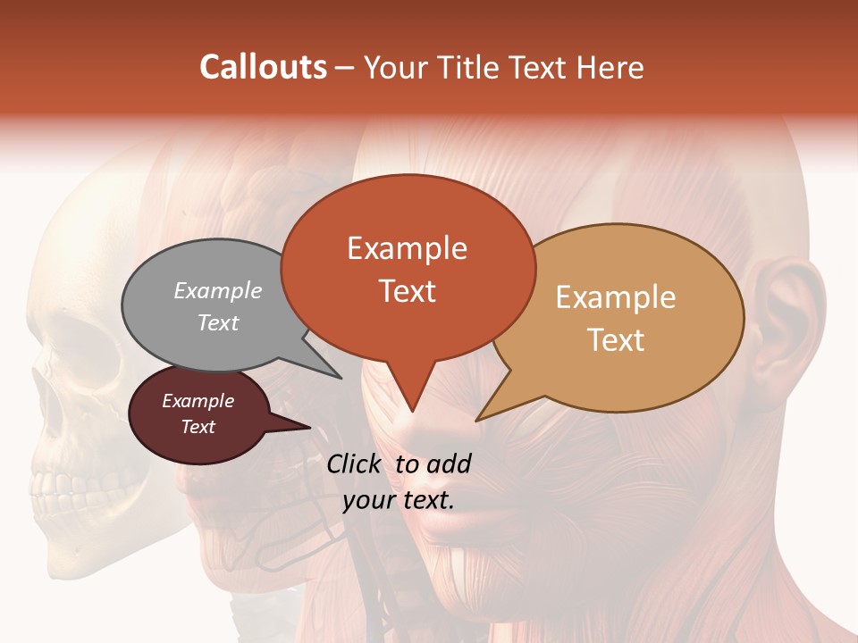 Li Ten Per On Conference PowerPoint Template