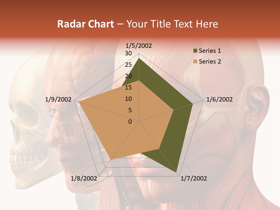 Li Ten Per On Conference PowerPoint Template