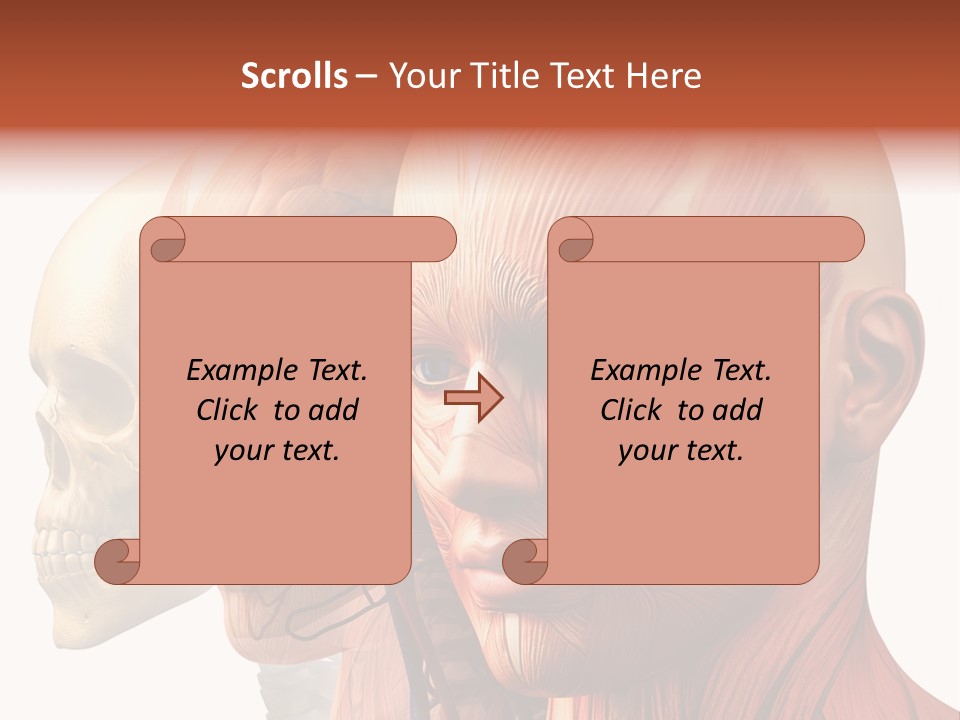 Li Ten Per On Conference PowerPoint Template