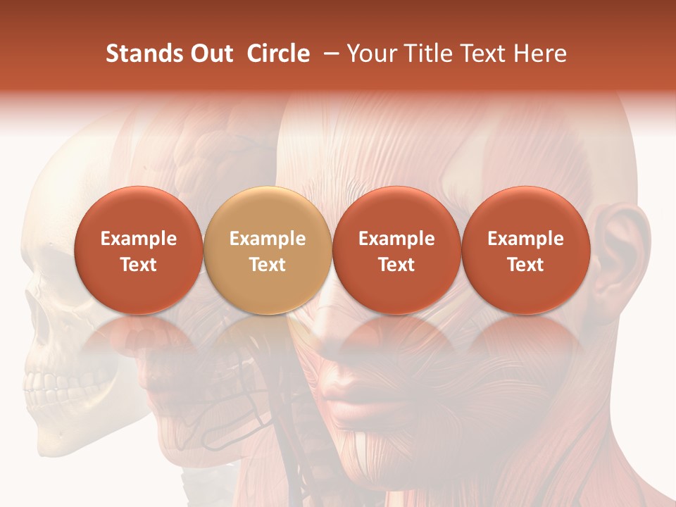 Li Ten Per On Conference PowerPoint Template