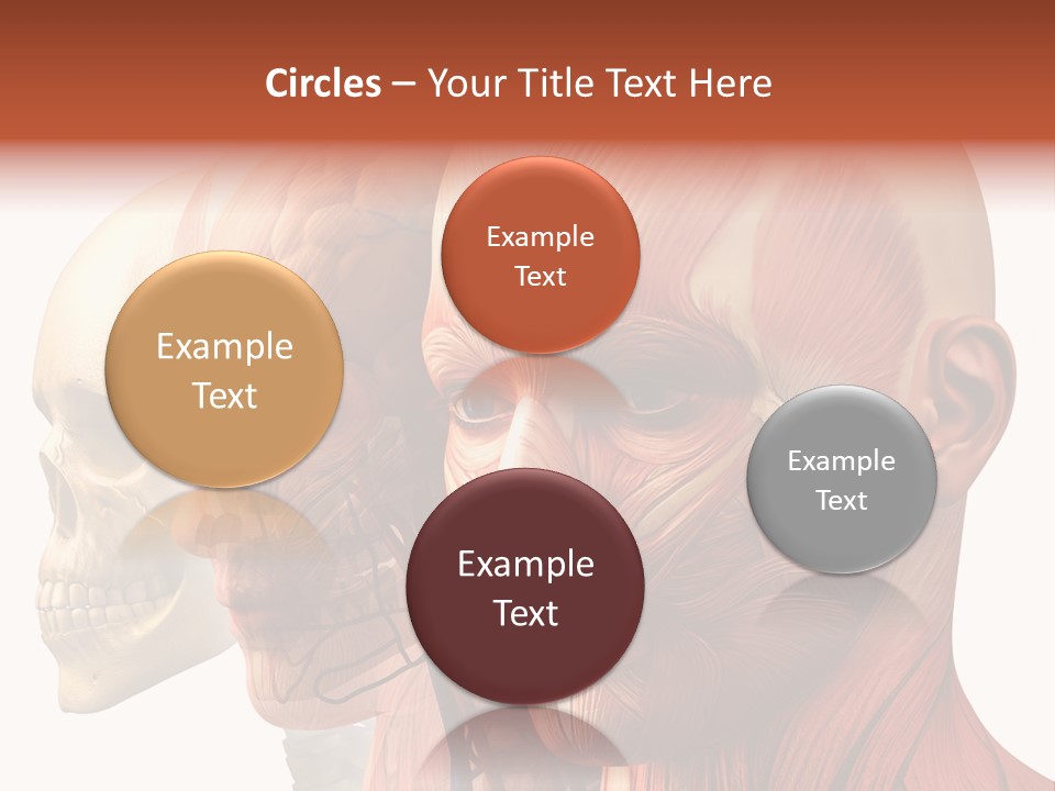 Li Ten Per On Conference PowerPoint Template