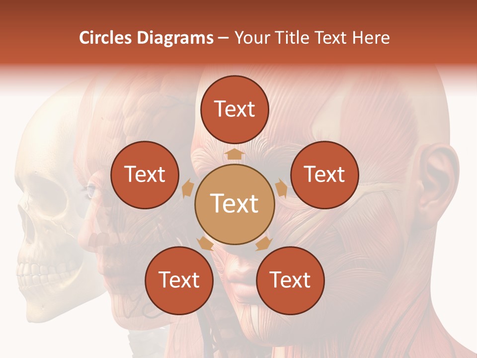 Li Ten Per On Conference PowerPoint Template