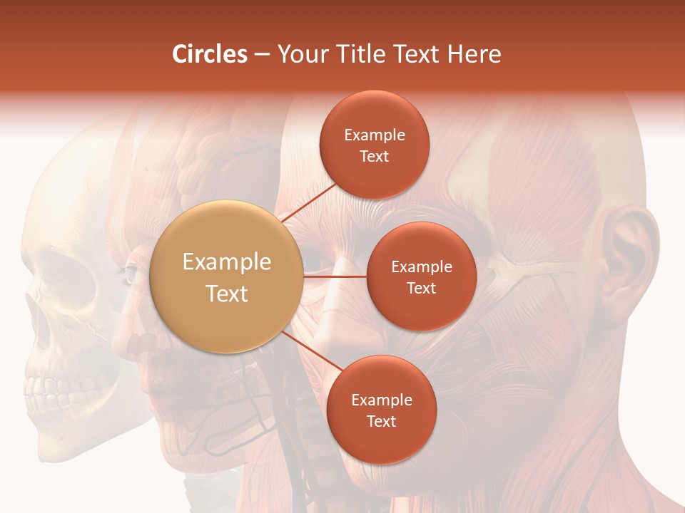 Li Ten Per On Conference PowerPoint Template