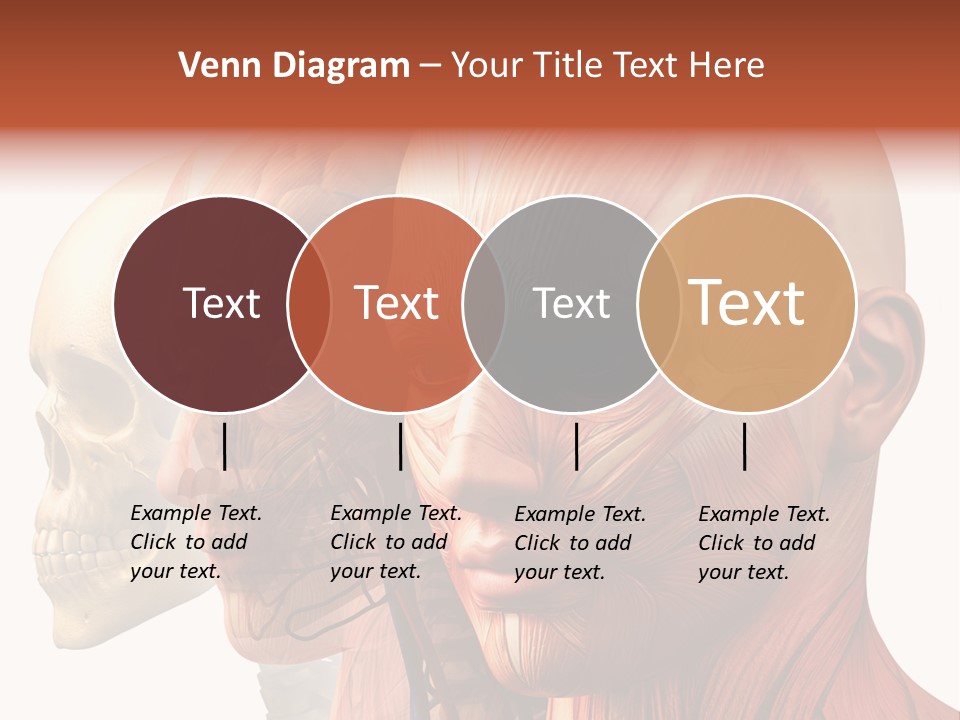 Li Ten Per On Conference PowerPoint Template