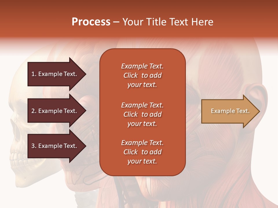 Li Ten Per On Conference PowerPoint Template