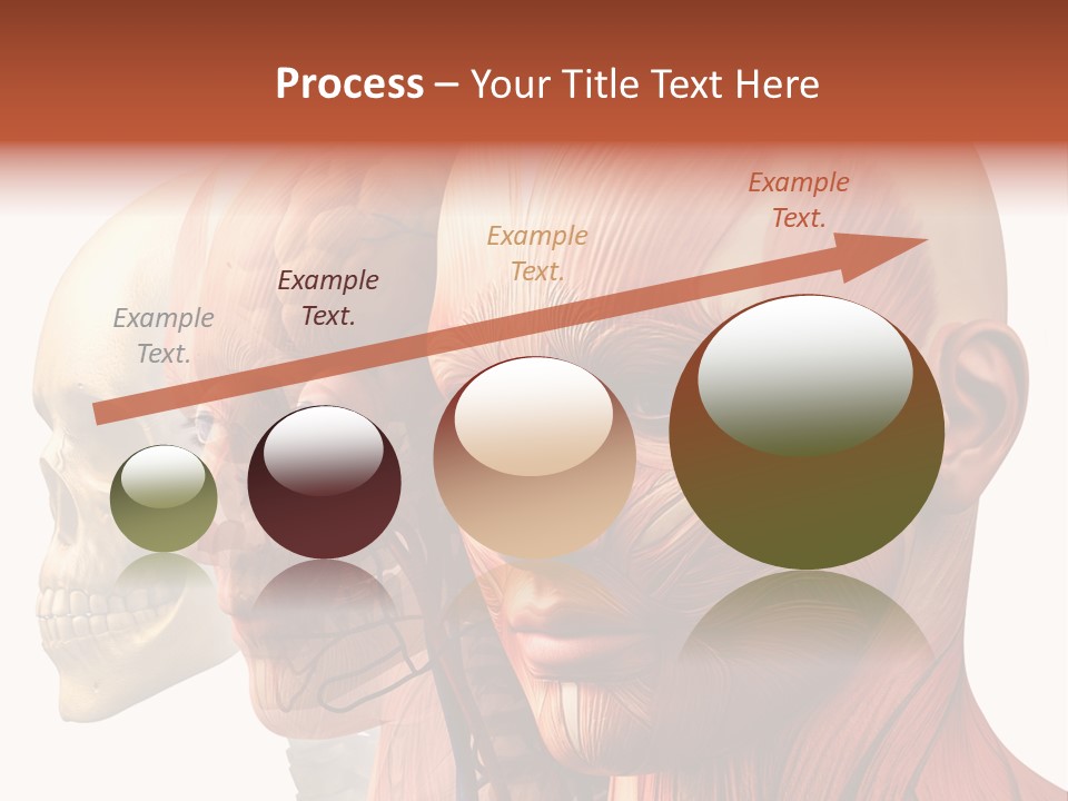 Li Ten Per On Conference PowerPoint Template