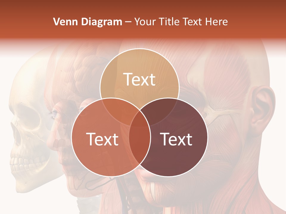 Li Ten Per On Conference PowerPoint Template