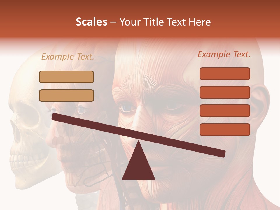 Li Ten Per On Conference PowerPoint Template