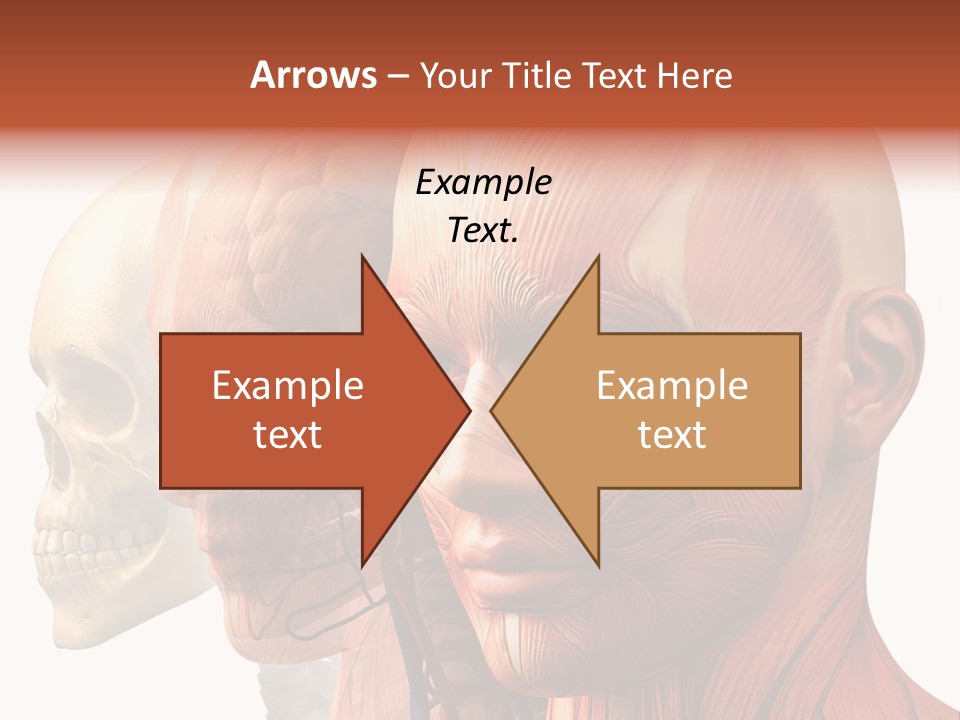 Li Ten Per On Conference PowerPoint Template