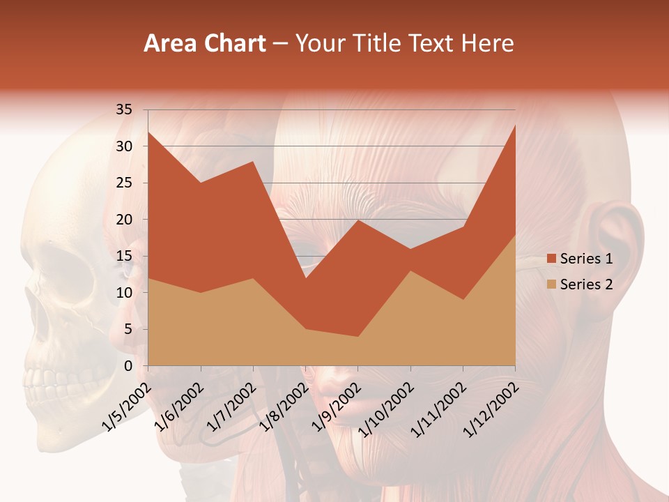 Li Ten Per On Conference PowerPoint Template