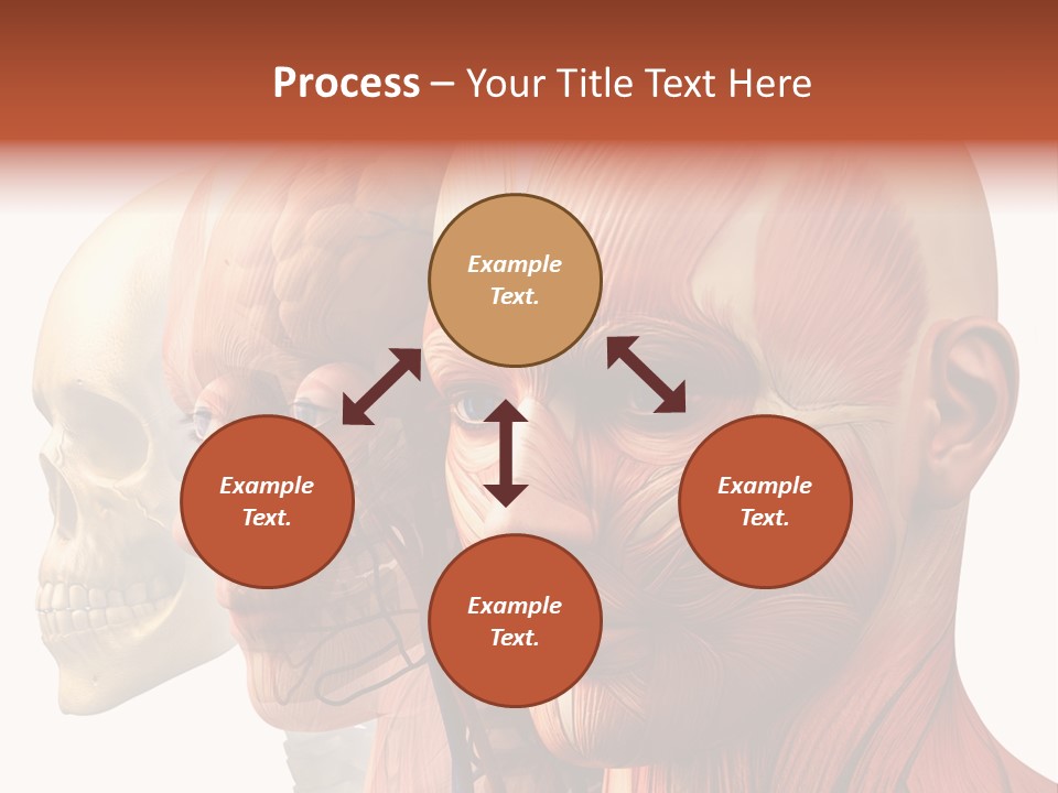 Li Ten Per On Conference PowerPoint Template