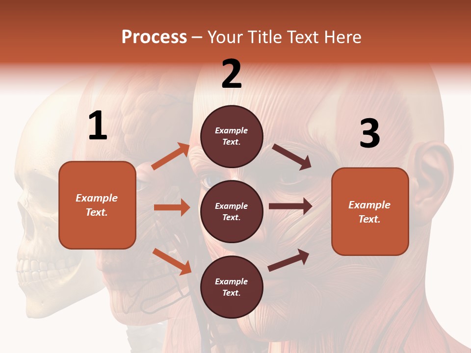 Li Ten Per On Conference PowerPoint Template
