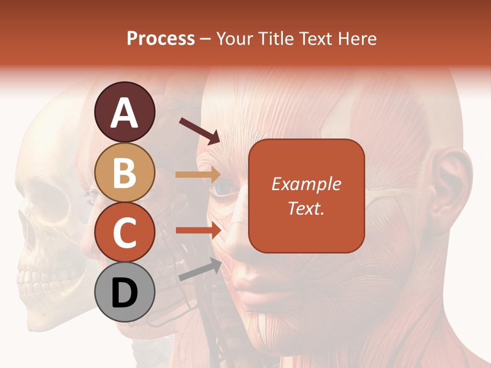 Li Ten Per On Conference PowerPoint Template