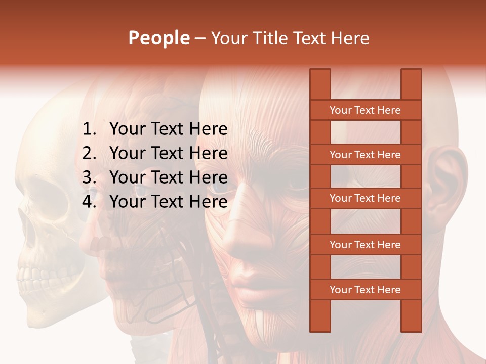 Li Ten Per On Conference PowerPoint Template