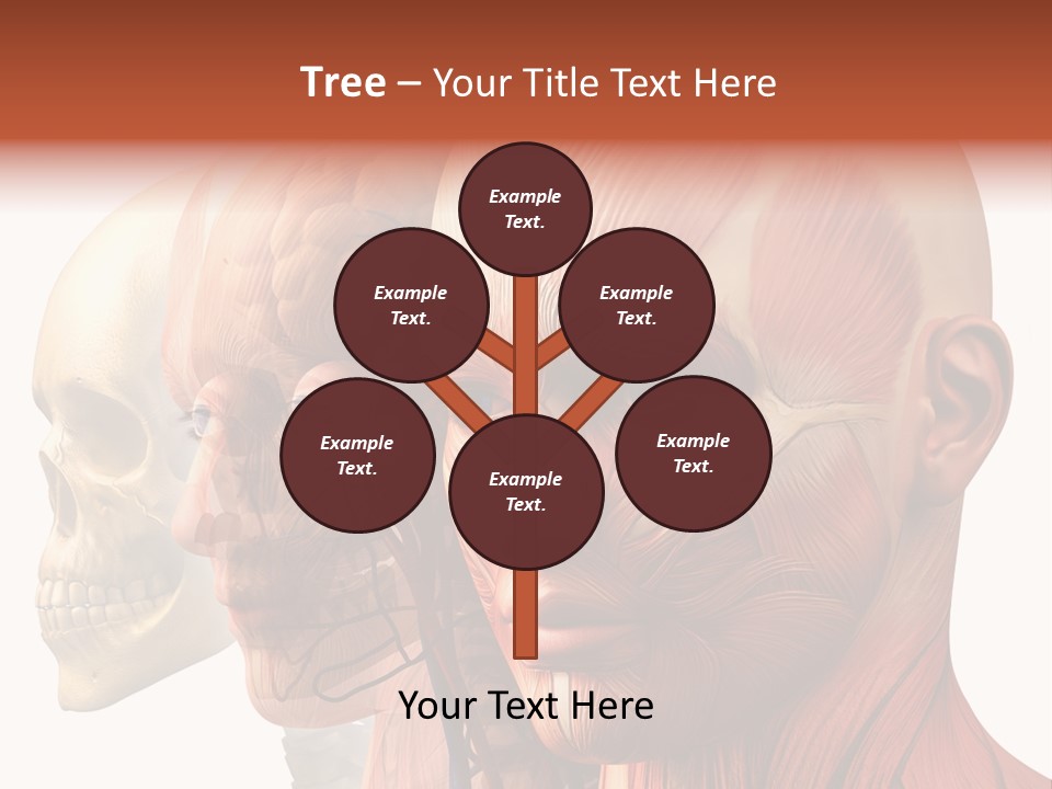 Li Ten Per On Conference PowerPoint Template