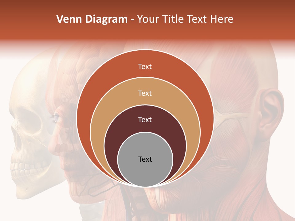Li Ten Per On Conference PowerPoint Template